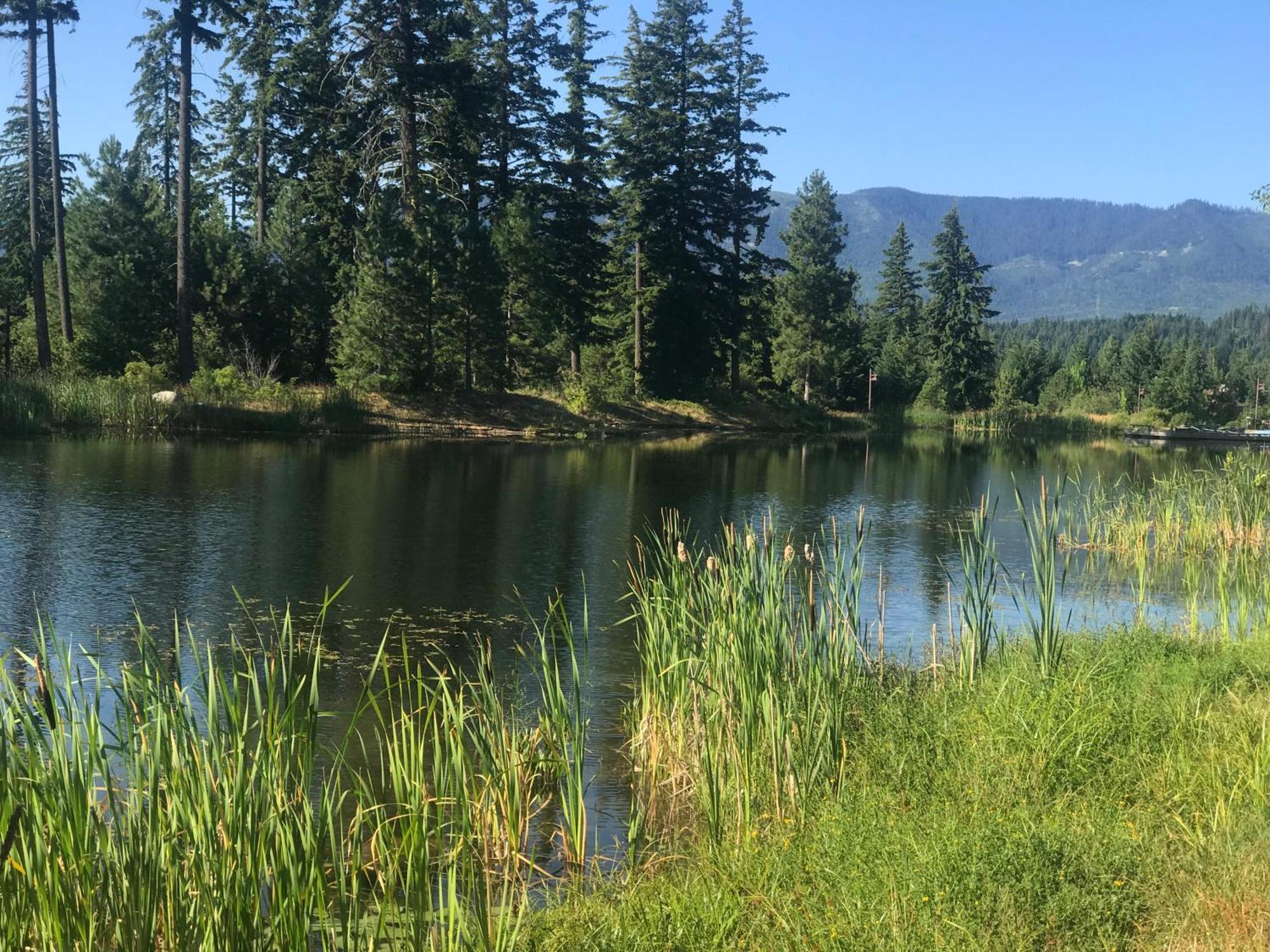 The Best Luxury River View Full Apartment Lodge Unit - 5049 Cle Elum Buitenkant foto
